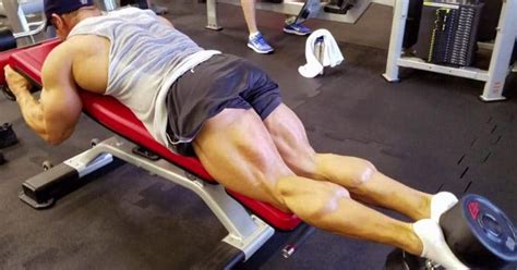 15 Best Leg Curl Alternatives for Stronger Hamstrings – Fitness Volt