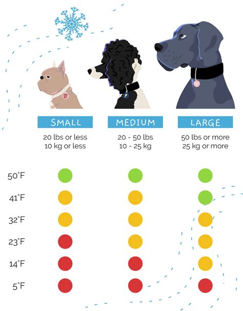 Dogs & Cold Weather: How to Protect Your Pup During the Winter Months ...