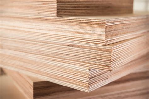 Everything You Need to Know about Water Resistant Plywood - HomeLane Blog