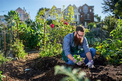 The Expert’s Guide to Sustainable Gardening | Endeavour Homes