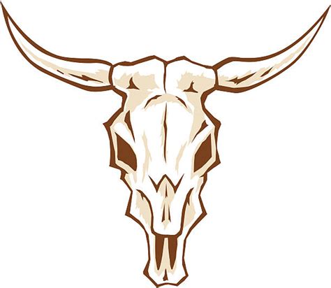 Bull Skull Clip Art, Vector Images & Illustrations - iStock