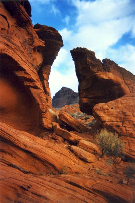 Nevada desert | Desert landscaping, Nevada desert, Landscape photos