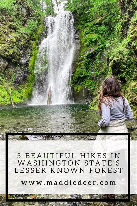 These beautiful hikes are hidden in Washington State's lesser known ...