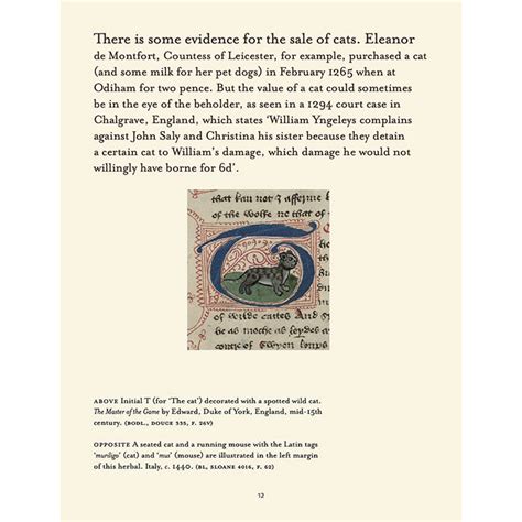 Cats in Medieval Manuscripts - British Library publication – 50 Watts Books