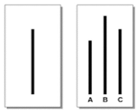 Figure used in the Asch experiment | Download Scientific Diagram