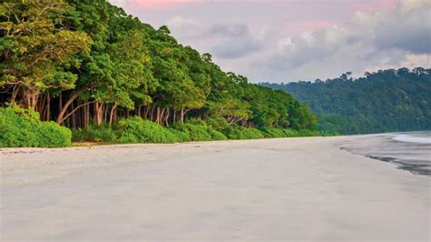 Radhanagar Beach Tourism (Havelock Island (Swaraj Dweep)) (2024) - A ...