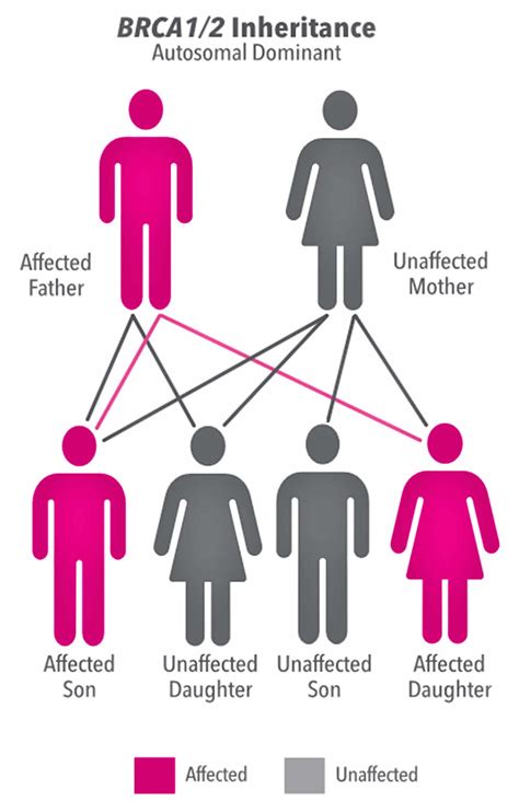 BRCA testing, who should get BRCA testing and BRCA testing criteria