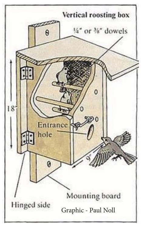 Winter Roost Box | Homemade bird houses, Bird houses, Bird house feeder