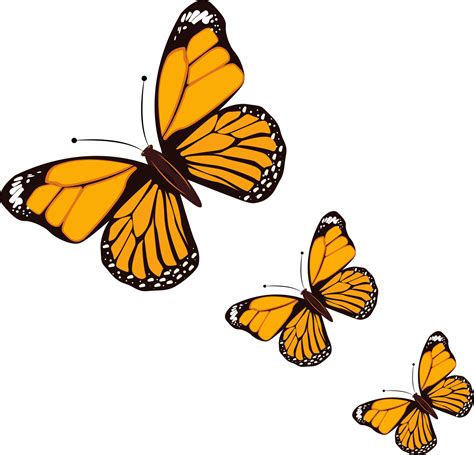 Orange butterfly ,illustration, vector on white background. 13759316 ...