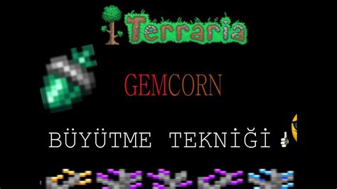 Terraria Gemcorn Nasıl Büyütülür? - YouTube