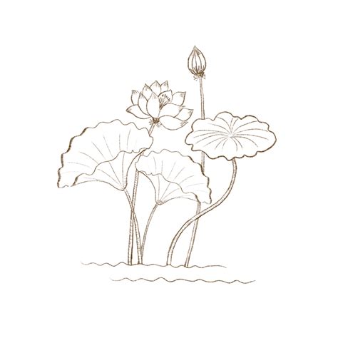 Hand Drawn Summer Lotus Pond Gif Animation Elements, Summer Drawing ...