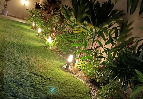 Mi jardín de noche | Diseño de casas sencillas, Jardines, Diseños de casas