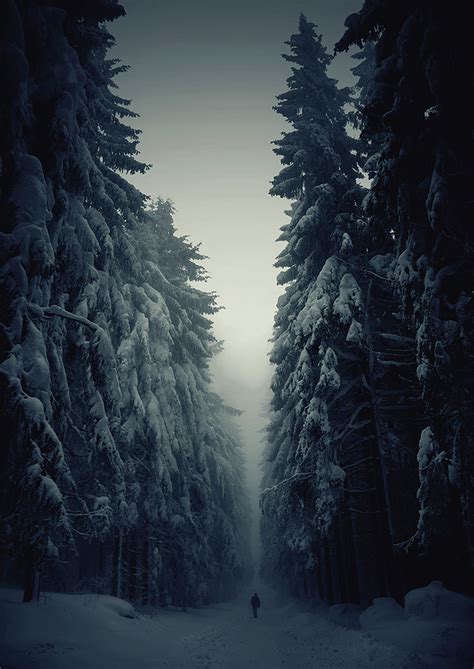 20 Breathtaking Photos Of Winter Landscapes | Bored Panda