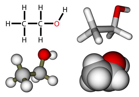 Chemical Energy Powers Physiology