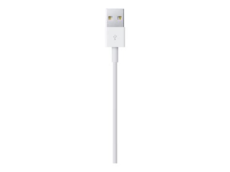 Apple Lightning to USB Cable 0.5m | Dustin.dk