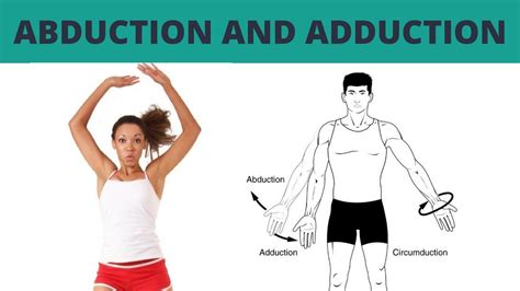 Abduction and Adduction - TERMINOLOGY #4 - YouTube