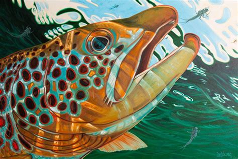 Brown Trout | Derek DeYoung | Fly fishing art, Trout art, Fish artwork