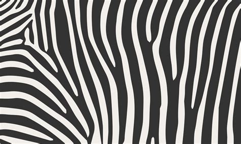 Zebra pattern background 15776585 Vector Art at Vecteezy