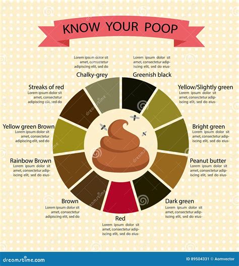 Poop Stool Color Changes Color Chart And Meaning, Healthy, 47% OFF