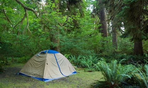 Hoh Campground, Olympic National Park - AllTrips