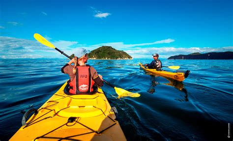 Guided tours, Abel Tasman, The Sea Kayak Comapny | Kayaking, Sea ...