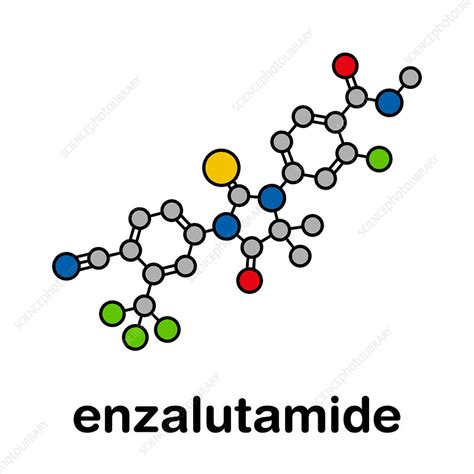 Enzalutamide prostate cancer drug, molecular model - Stock Image - F025 ...