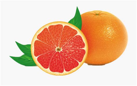 grapefruit images clipart 10 free Cliparts | Download images on ...