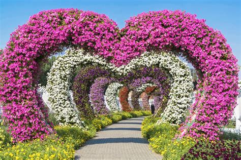 World Beautiful Garden Images - WoodsLima