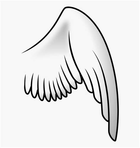 Transparent Angel Wings Vector Png - Bird Wing Clip Art, Png Download ...