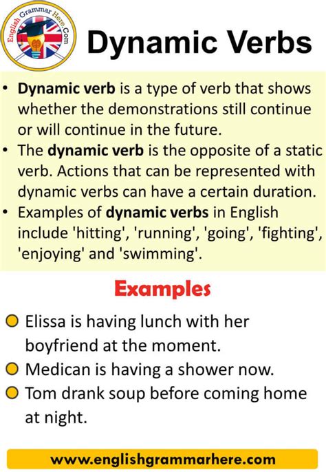 Dynamic Verbs, Definitions and Examples - English Grammar Here