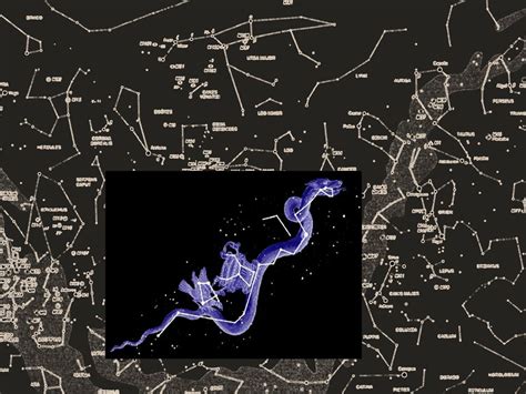 The Constellation of Hydra - ppt download