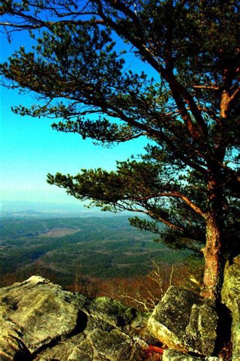 Cheaha State Park - Camping