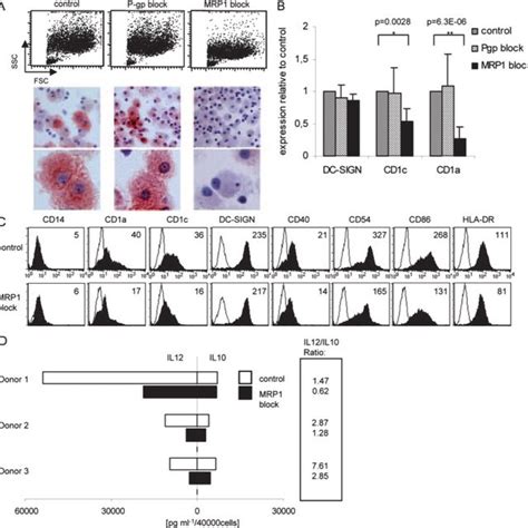 The leukotriene pathway is not essential for LC differentiation. MUTZ3 ...