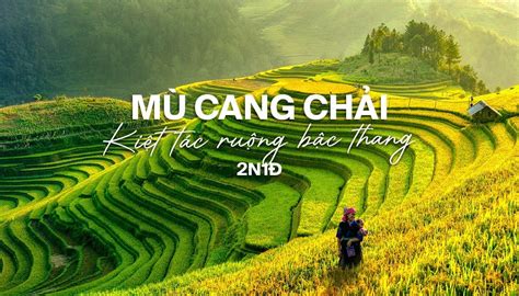 Tour khám phá Mù Cang Chải - Kiệt tác ruộng bậc thang | Viettrekking