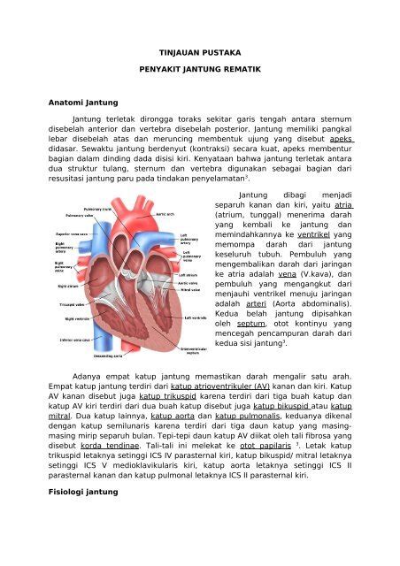 TINJAUAN PUSTAKA PENYAKIT JANTUNG REMATIK Anatomi ...