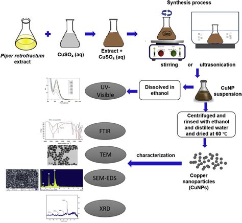 Scheme of green synthesis process and characterization of CuNPs ...