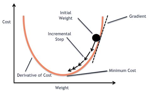 Gradient Descent Algorithm in Machine Learning