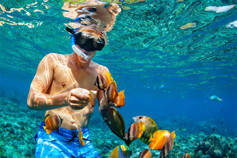 Snorkeling a Nusa Penida e Nusa Lembongan da Bali - Scopri Egitto