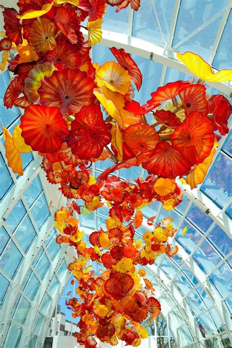 Dale Chihuly Conservatory Enthusiast | Tanglewood Conservatories, Ltd.