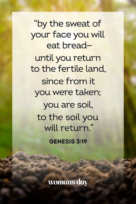 38 Best Ash Wednesday Quotes - Bible Verses for First Day of Lent