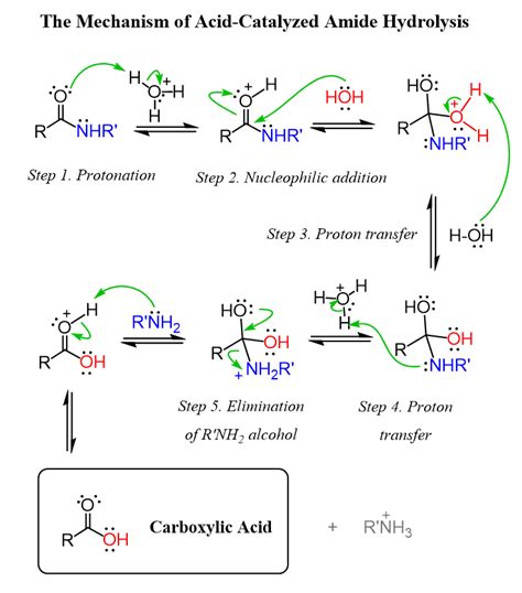 amide hydrolysis reaction – hydrolysis mechanism – Brilnt