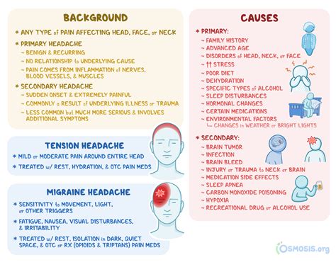 Cephalgia: What Is It, Types, Causes, and More | Osmosis