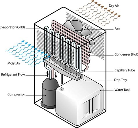 7 Best Dehumidifiers For Basement In 2024 (1.85+ Energy Factor)