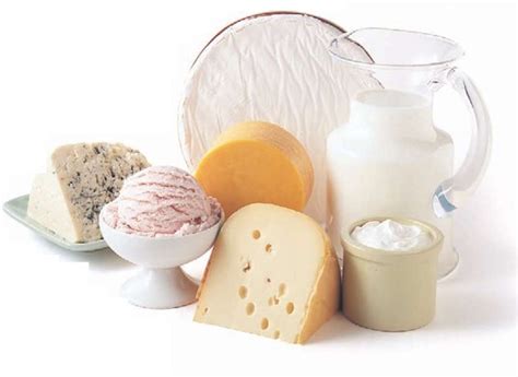 Dairy Foods