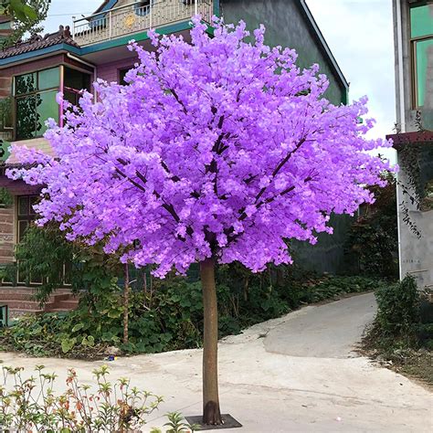 Purple Cherry Blossom Tree | ubicaciondepersonas.cdmx.gob.mx