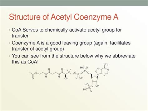 Link Reaction and the Kreb’s Cycle - ppt download