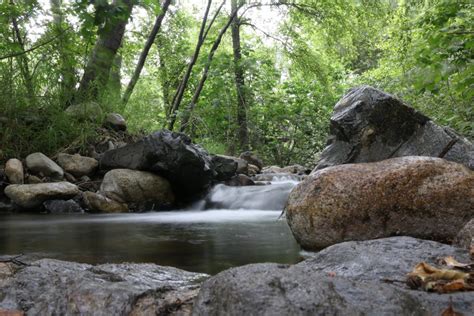 Best Hikes in Cleveland National Forest (CA) | Trailhead Traveler