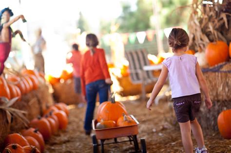 The Best Pumpkin Picking Patches And Farms In NJ