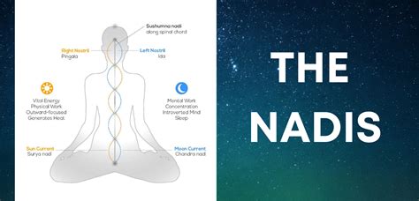 What Are Nadis? Ida, Pingala and Sushman : Three Fundamental Nadis