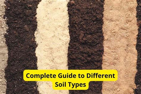 Complete Guide to Different Soil Types